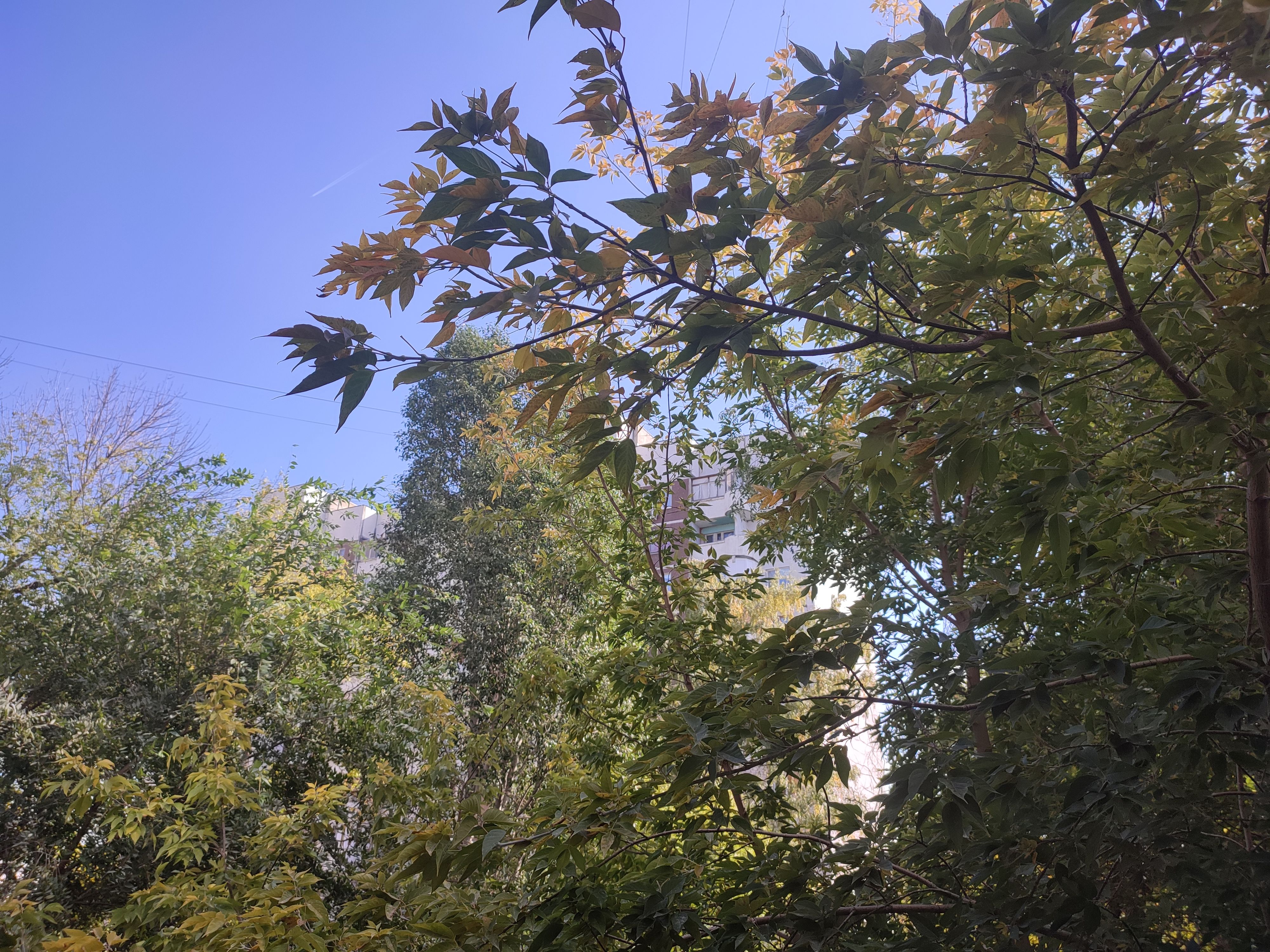 /pic/uploaded/IMG_20210928_123315.jpg
