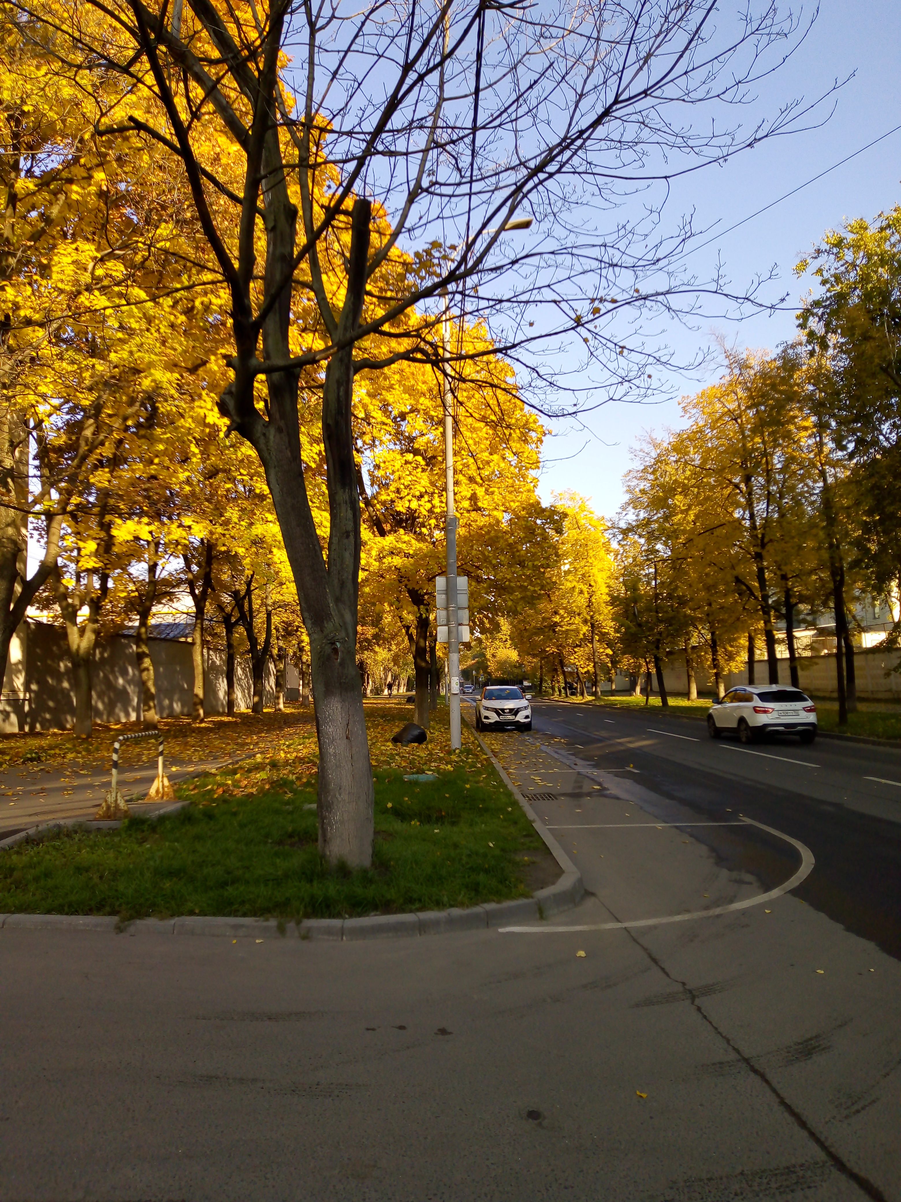 /pic/uploaded/IMG_20211003_085640.jpg