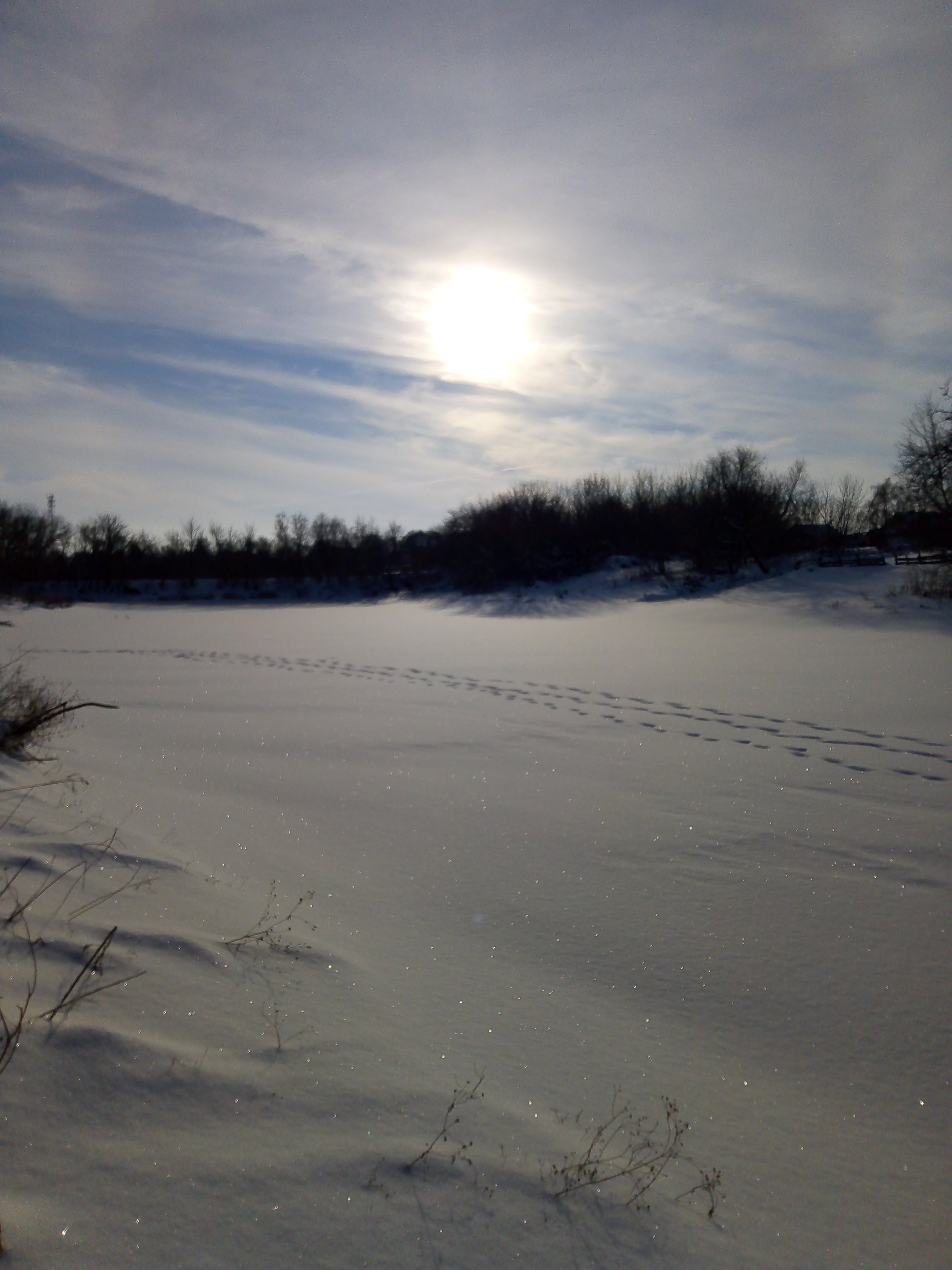 /pic/uploaded/IMG_20220104_124700.jpg