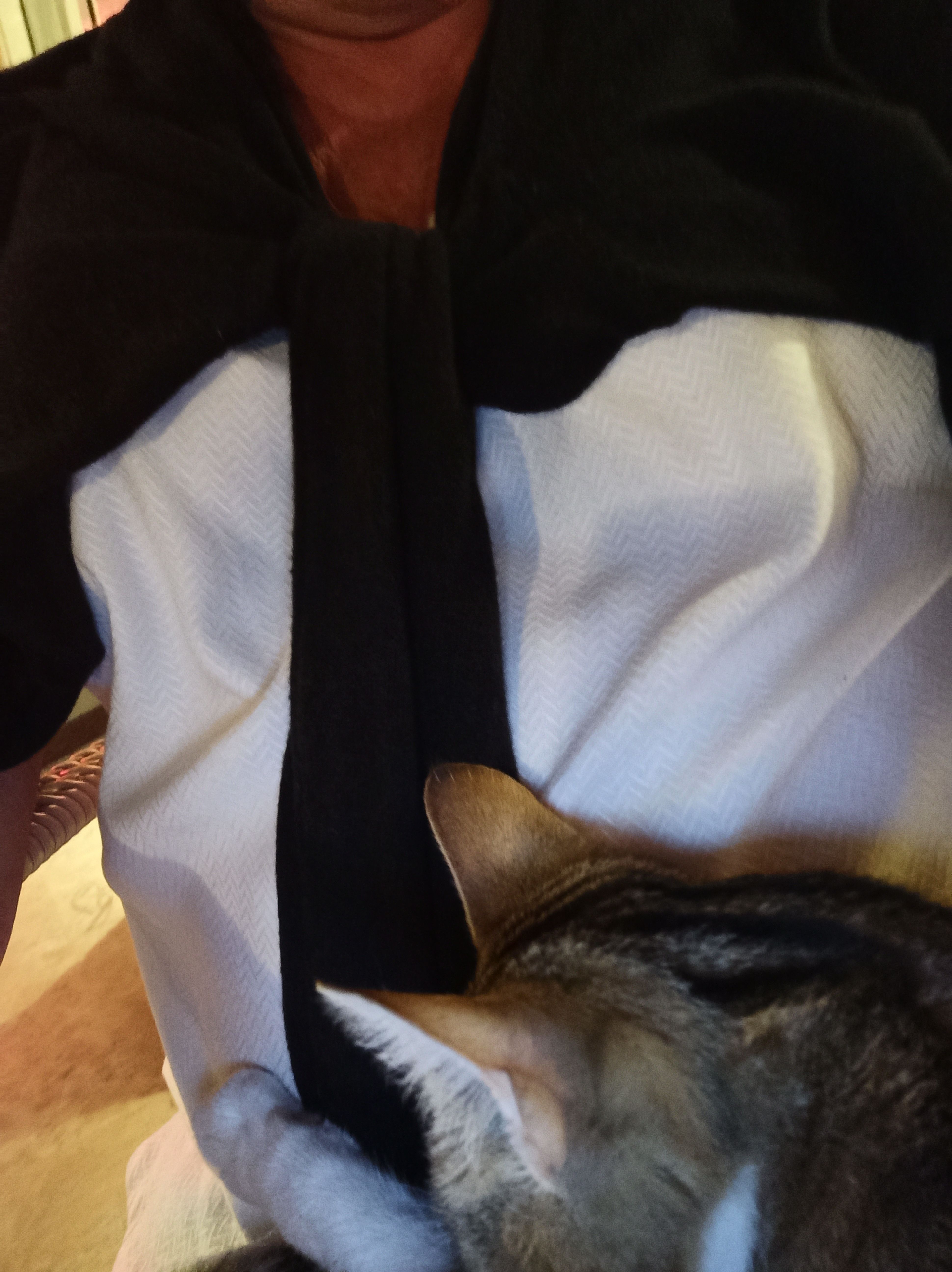 /pic/uploaded/IMG_20221024_212537.jpg