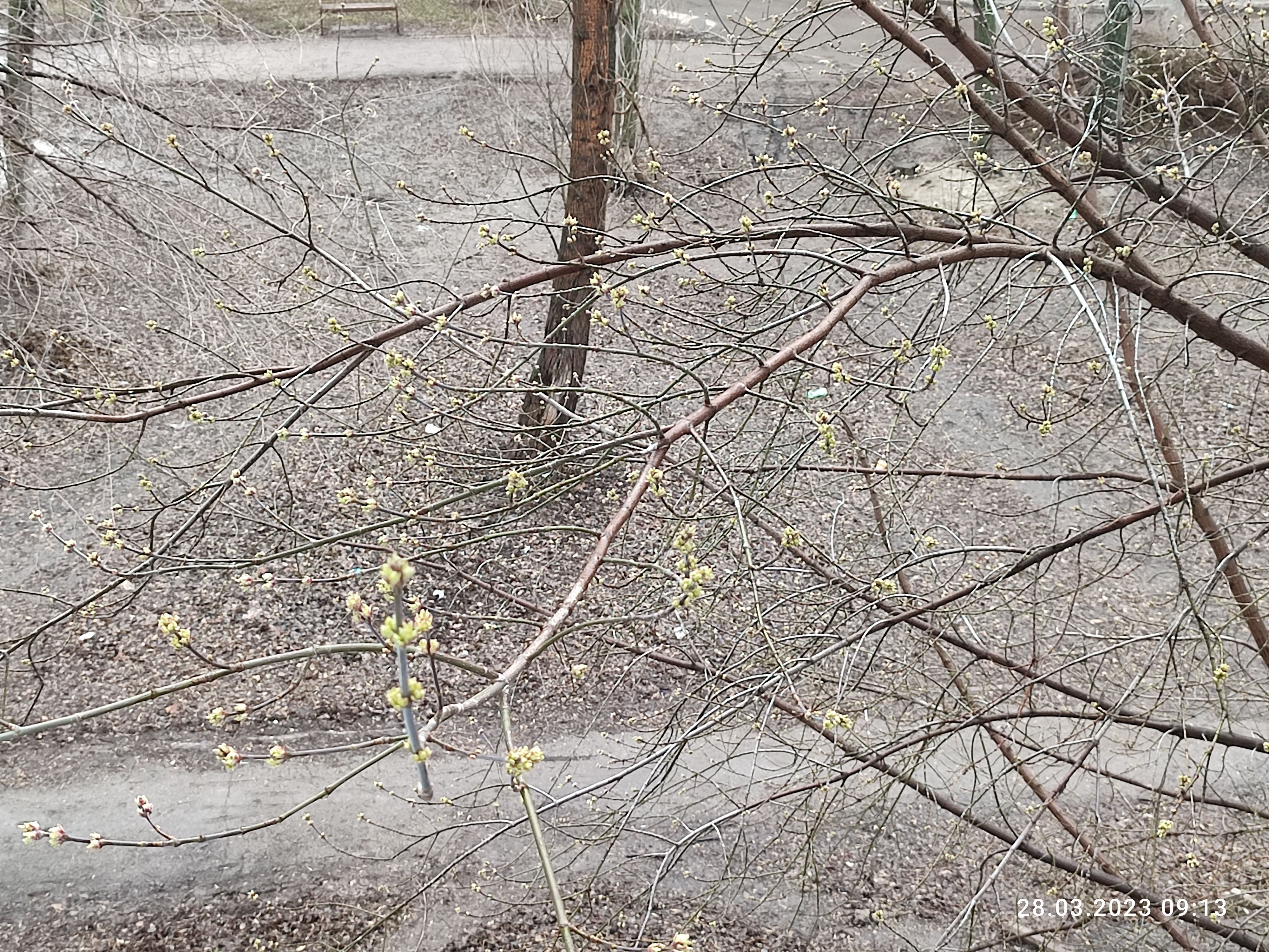 /pic/uploaded/IMG_20230328_091326.jpg