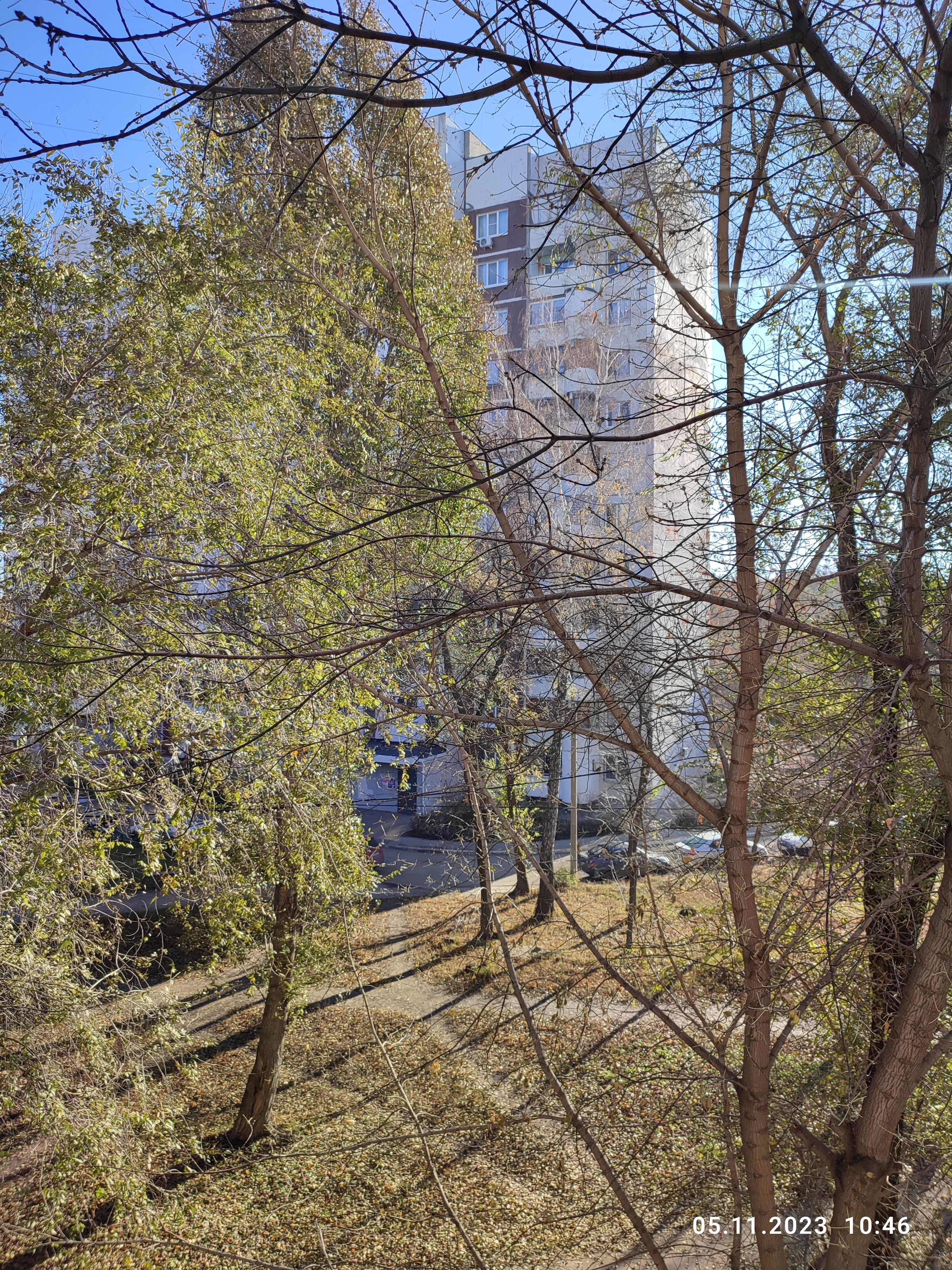 /pic/uploaded/IMG_20231105_110644_829.jpg