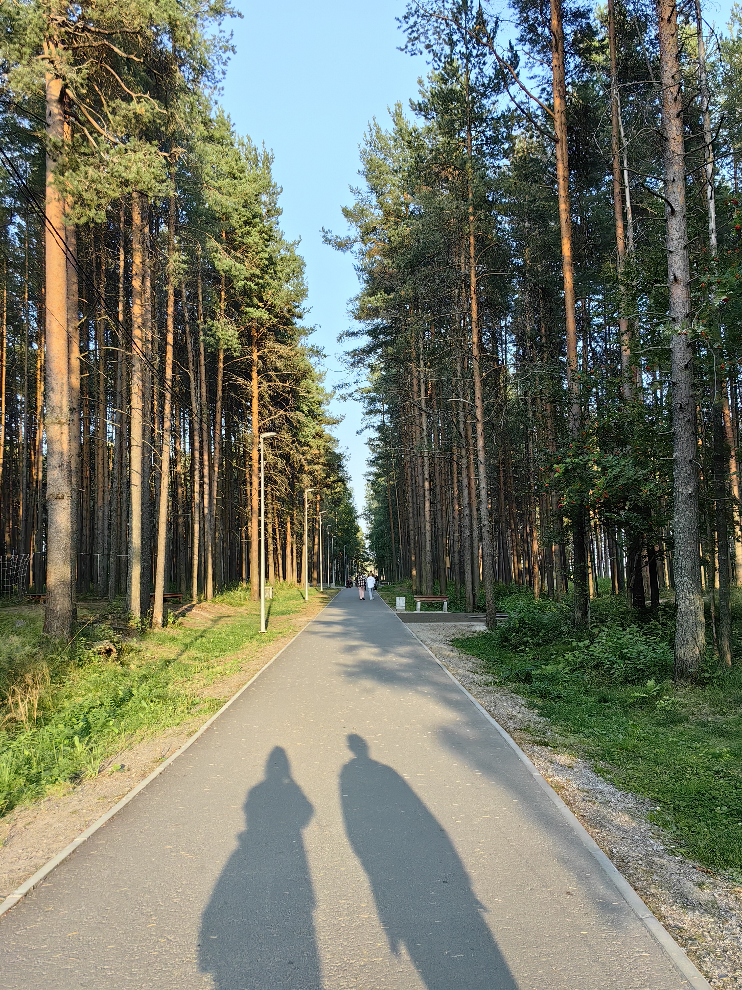 /pic/uploaded/IMG_20240819_185337.jpg