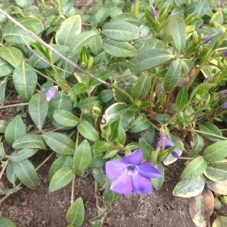 /pic/uploaded/IMG_3278.JPG