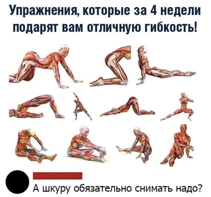 /pic/uploaded/IMG_3702.jpeg