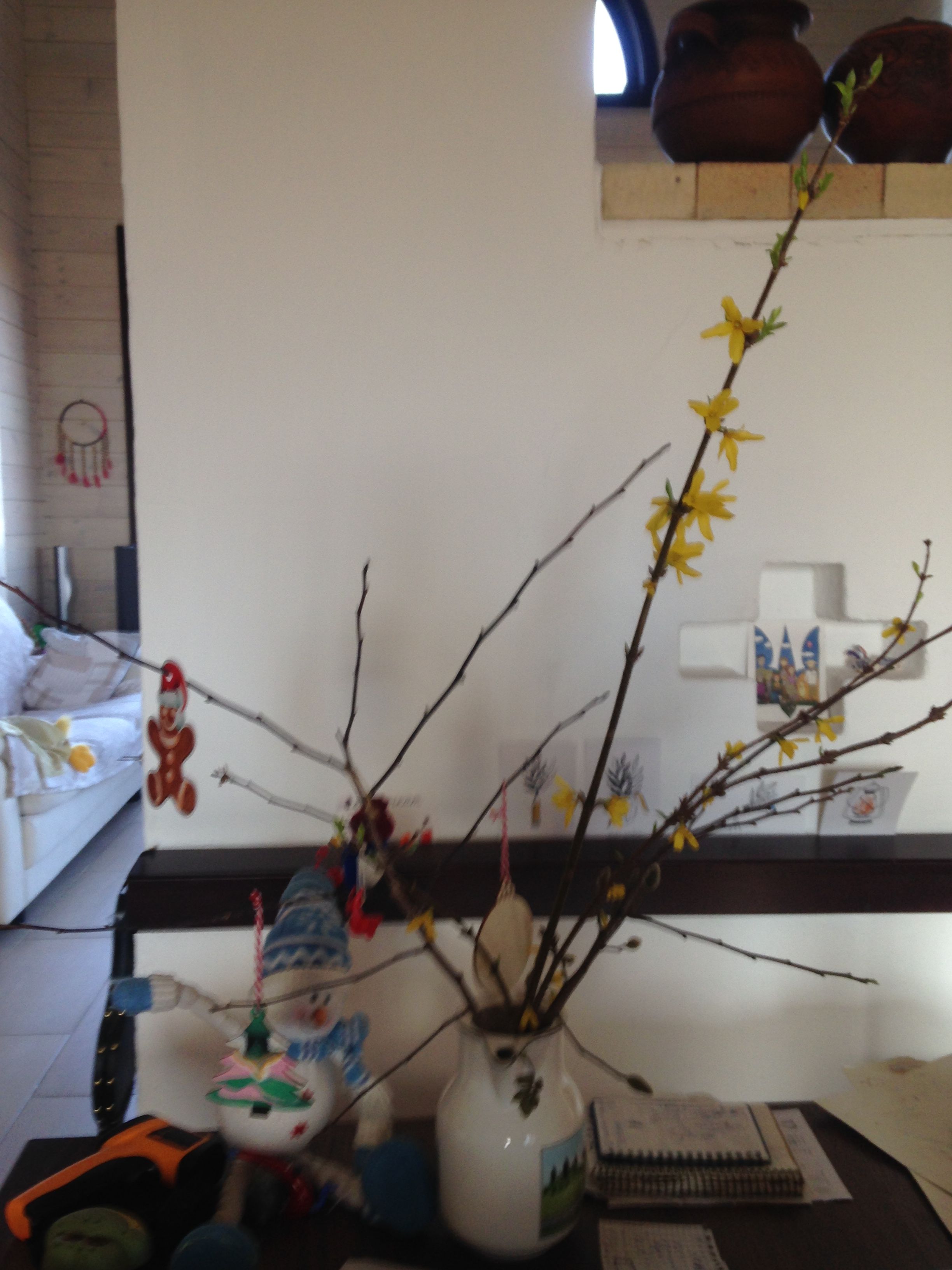 /pic/uploaded/IMG_4628.JPG