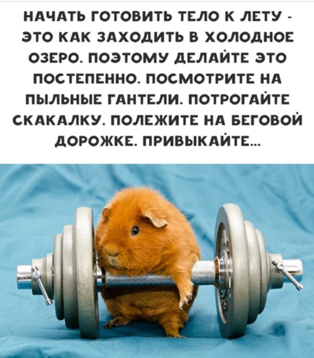 /pic/uploaded/IMG_4658.PNG