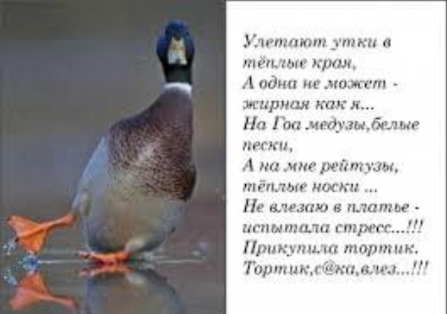 /pic/uploaded/IMG_5026.PNG