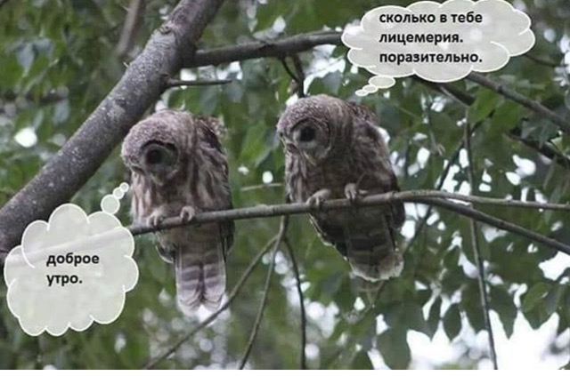 /pic/uploaded/IMG_5614.PNG