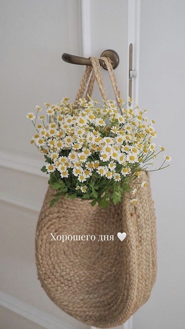 /pic/uploaded/IMG_6074.PNG