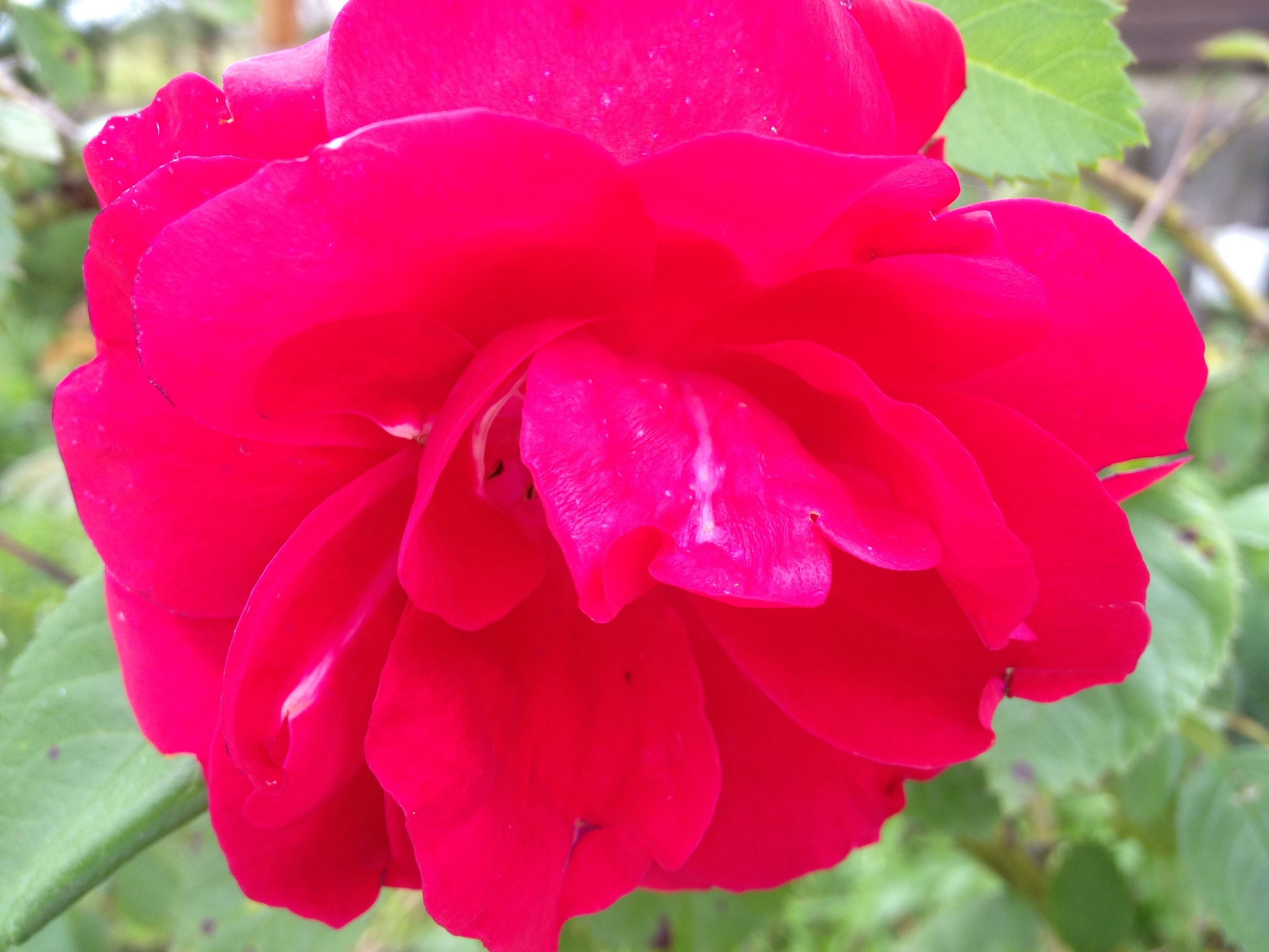 /pic/uploaded/IMG_6121.JPG