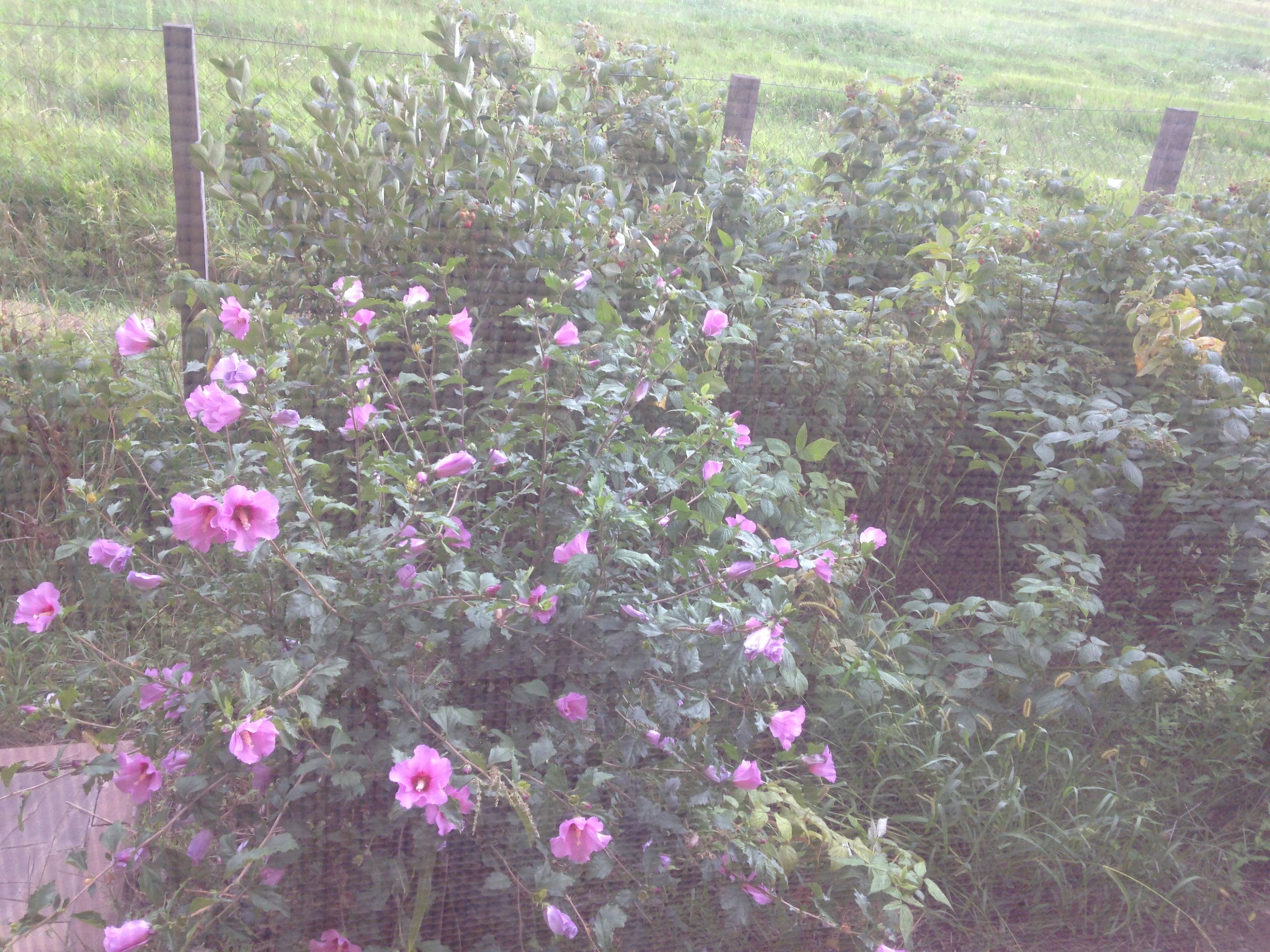 /pic/uploaded/IMG_6146.JPG