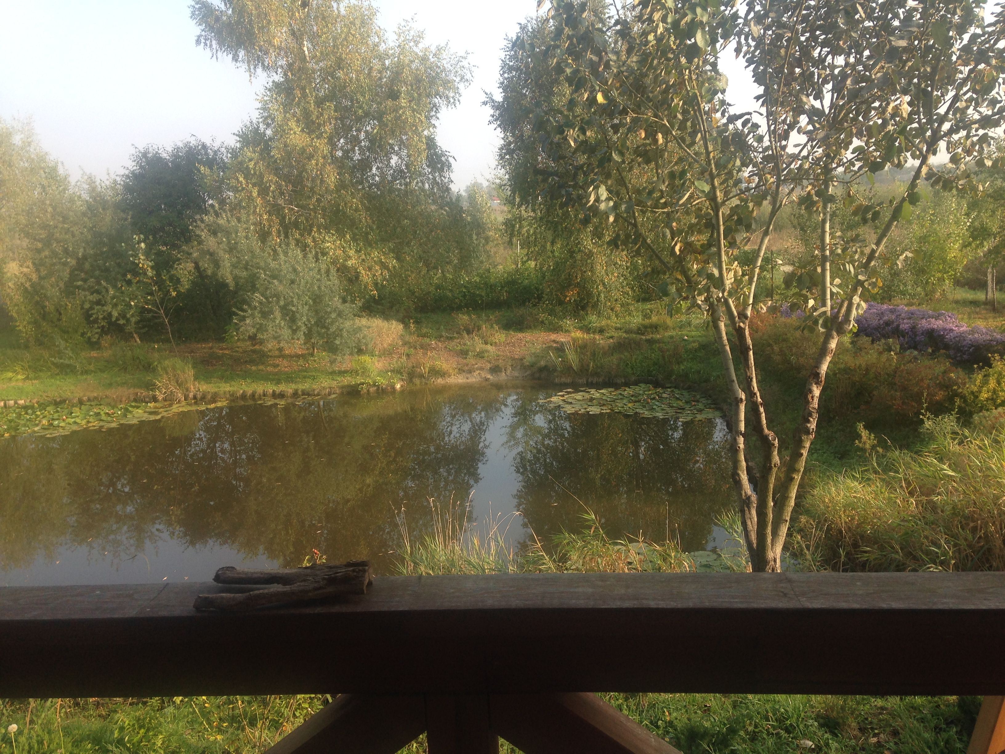 /pic/uploaded/IMG_6431.JPG
