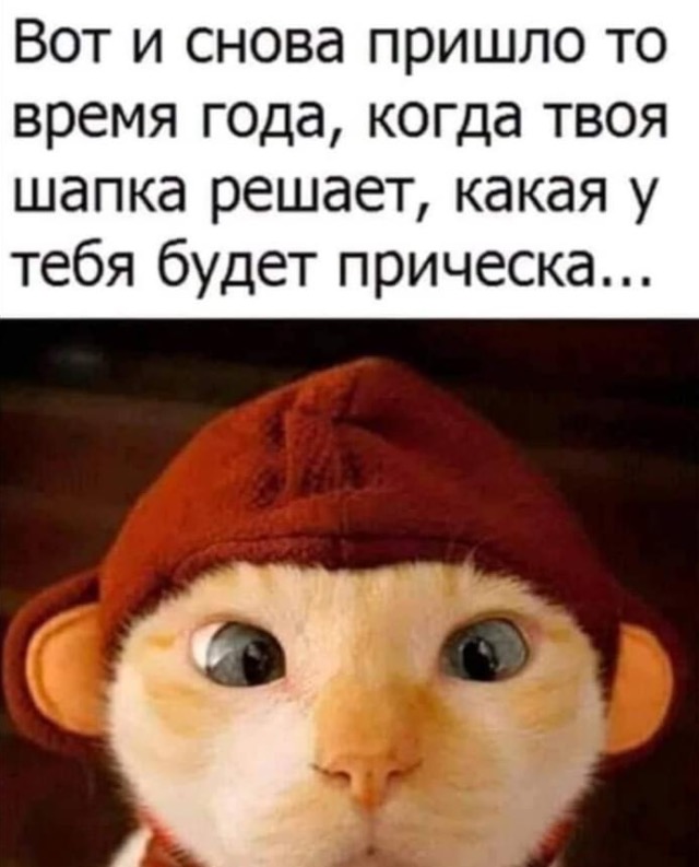 /pic/uploaded/IMG_6852.PNG