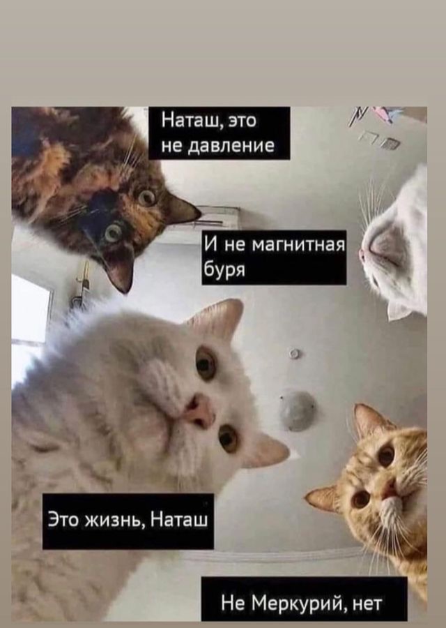 /pic/uploaded/IMG_7238.PNG