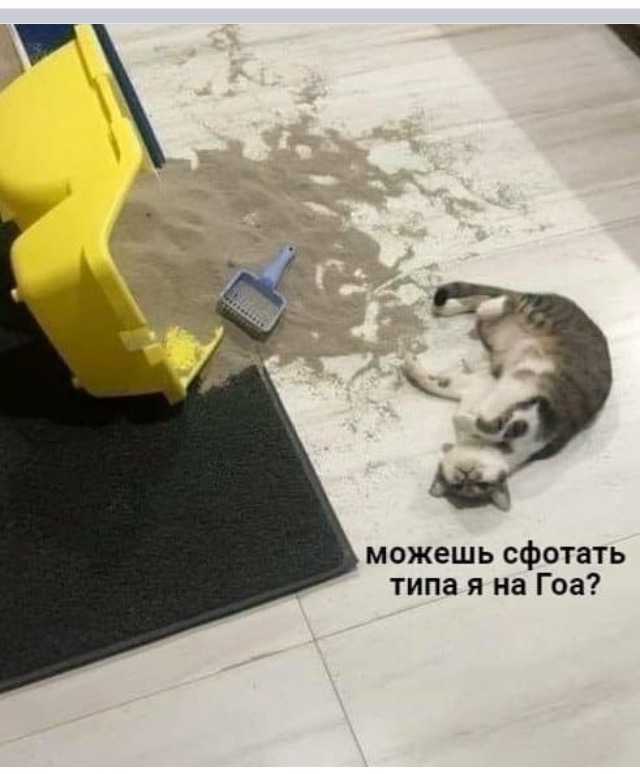 /pic/uploaded/IMG_7289.PNG