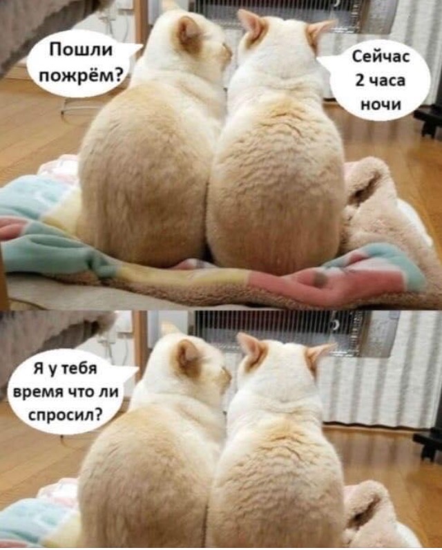 /pic/uploaded/IMG_7320.PNG