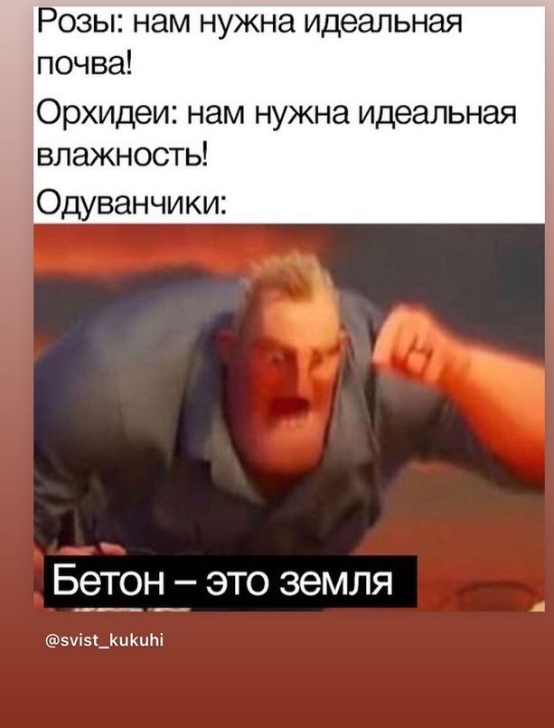 /pic/uploaded/IMG_8591.PNG