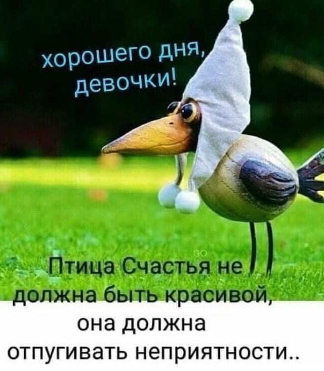 /pic/uploaded/IMG_8879.PNG