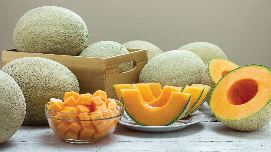 /pic/uploaded/Infinite-Gold-cantaloupe-from-Sakata-FEATURE.jpg
