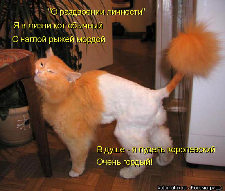 /pic/uploaded/N1.jpg