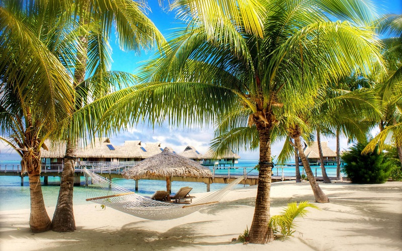 /pic/uploaded/Nature_Beach_Palm_trees_and_plank_bed_on_a_beach_036823_.jpg