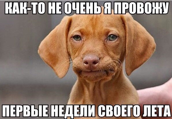 /pic/uploaded/NzM07XGPf9s.jpg