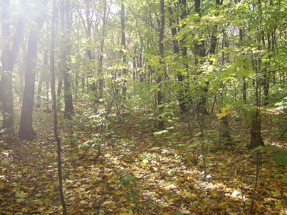 /pic/uploaded/PIC_0693.JPG