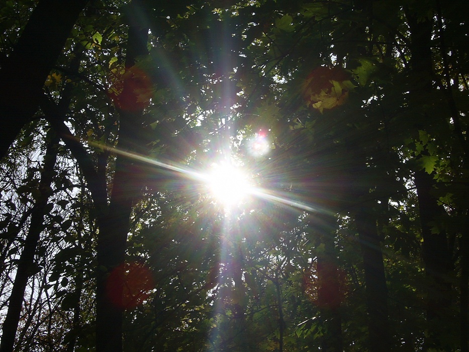 /pic/uploaded/PIC_0694.JPG