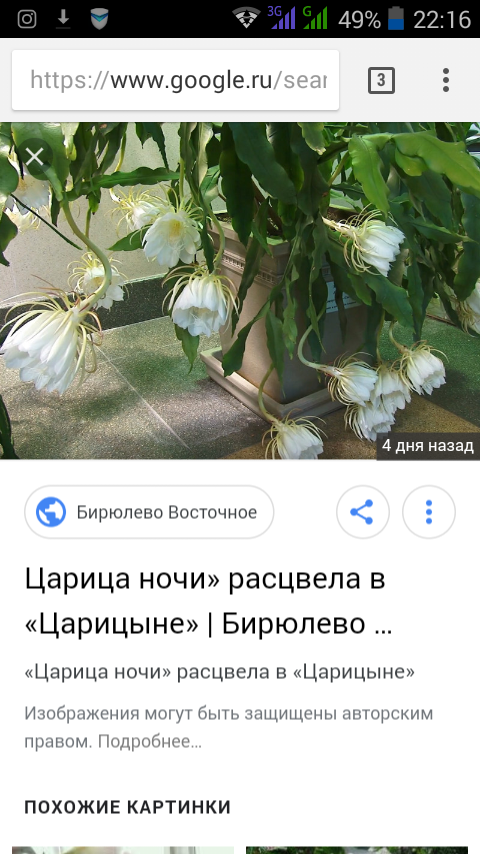 /pic/uploaded/Screenshot_2018-07-01-22-16-54.png