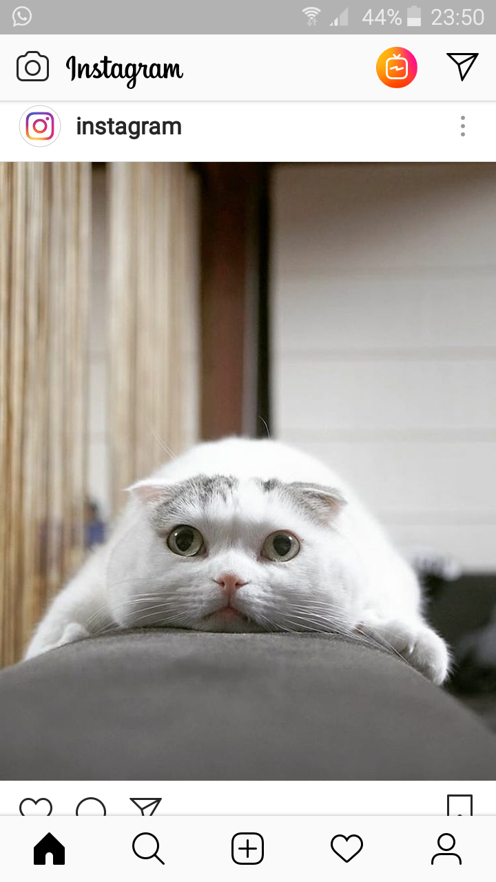 /pic/uploaded/Screenshot_2018-09-03-23-50-06.png