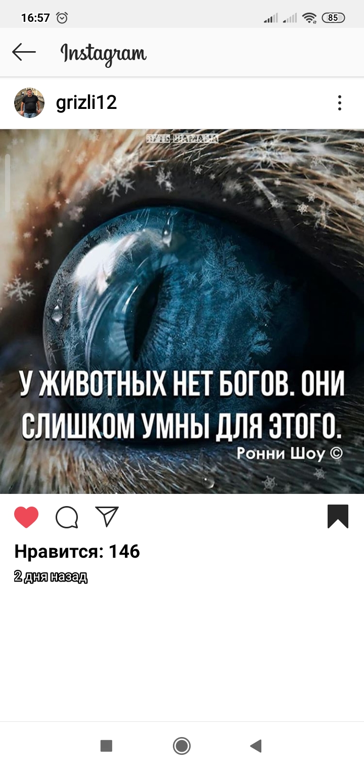/pic/uploaded/Screenshot_2020-02-08-16-57-26-091_com.instagram.android.jpg