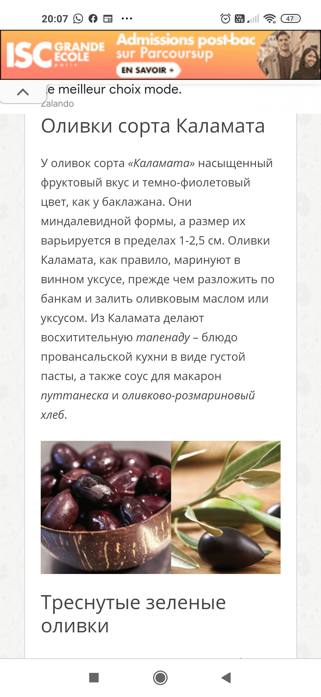 /pic/uploaded/Screenshot_2020-12-17-20-07-37-219_com.android.chrome.jpg