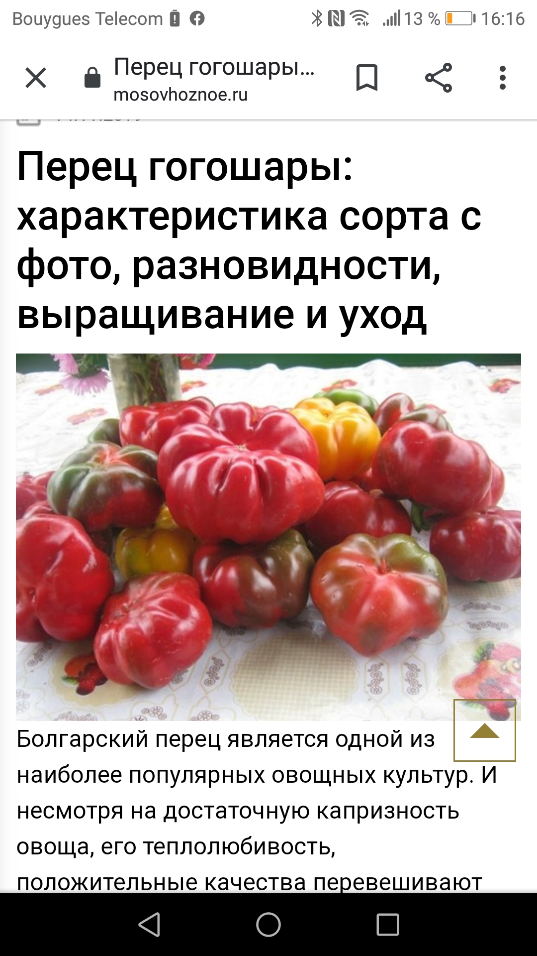 /pic/uploaded/Screenshot_20201028-161636.jpg
