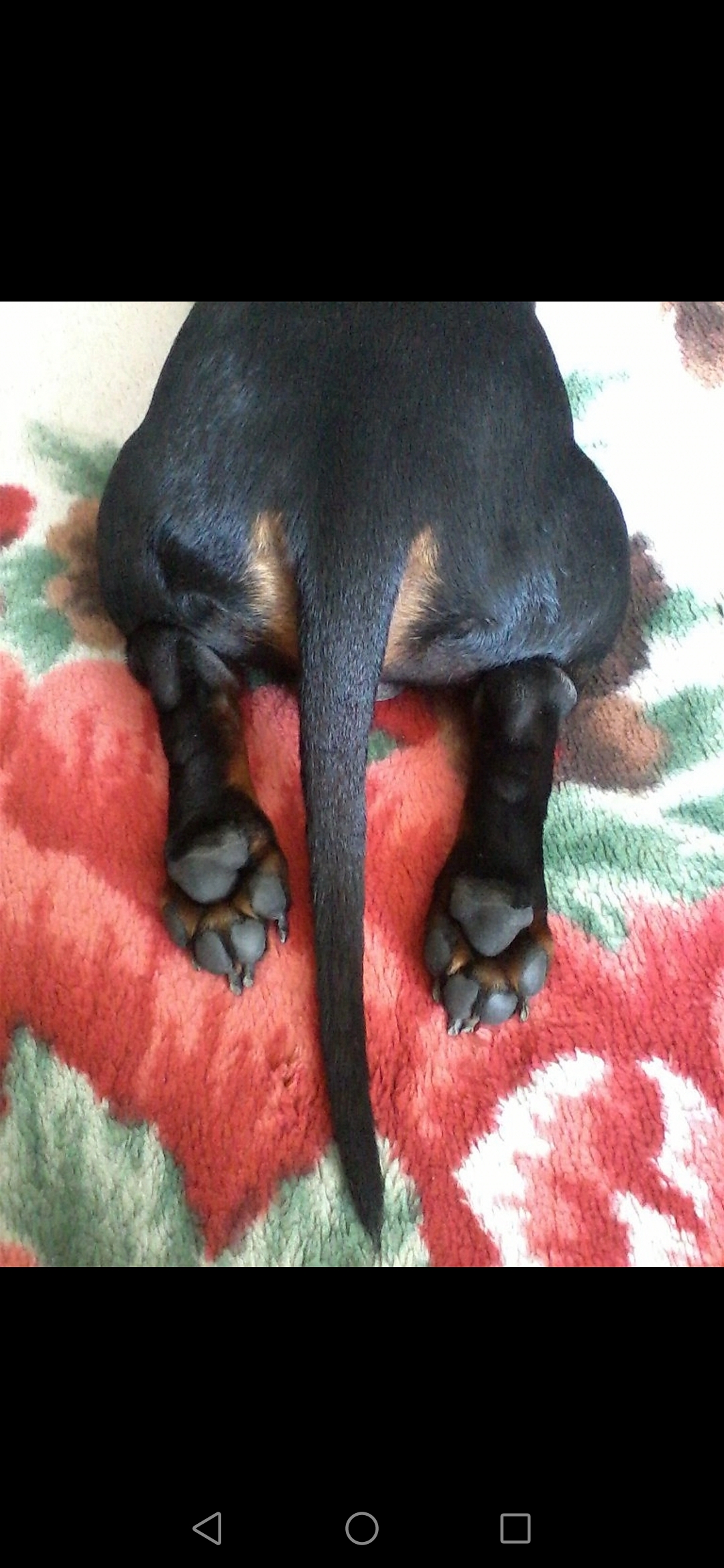 /pic/uploaded/Screenshot_20220118_143521_com.android.gallery3d.jpg