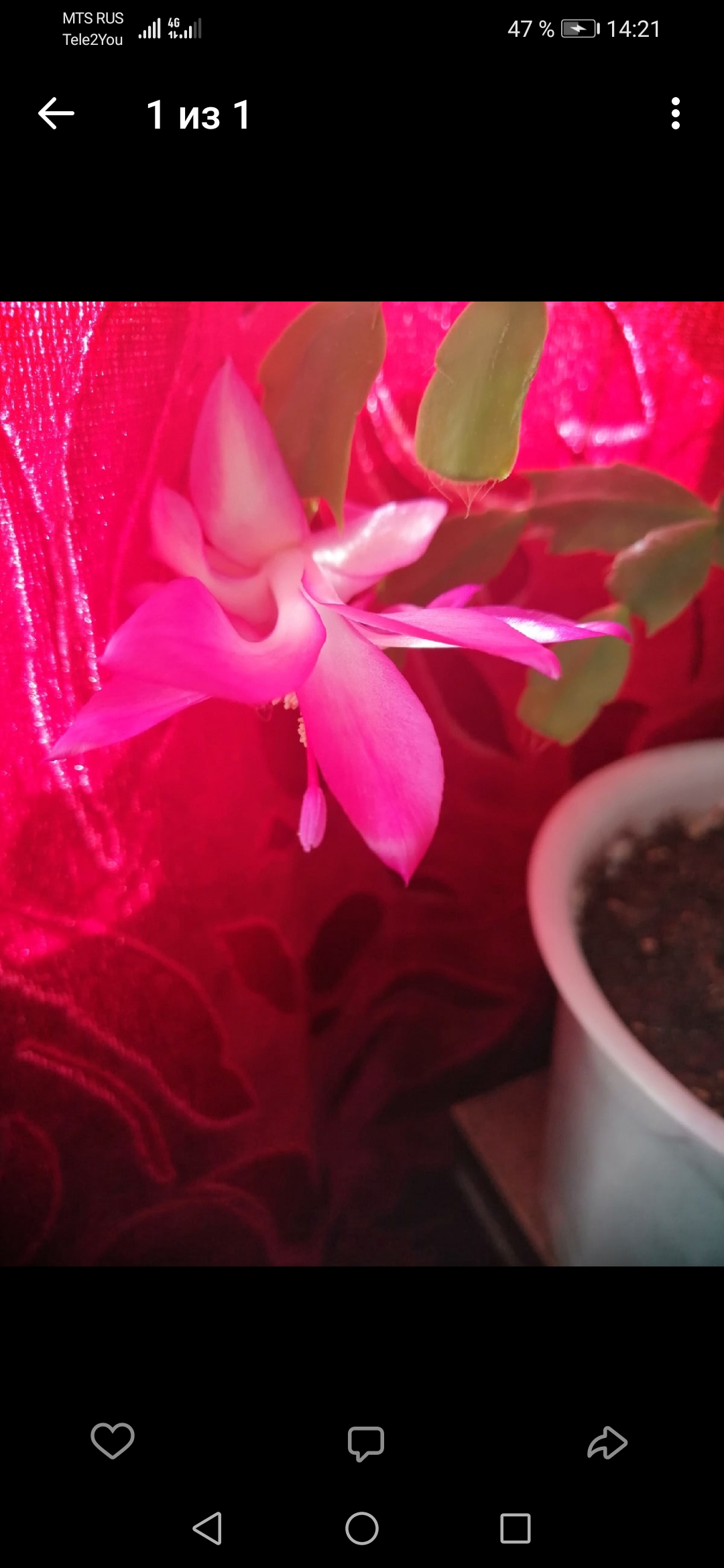 /pic/uploaded/Screenshot_20220320_142157_com.vkontakte.android.jpg