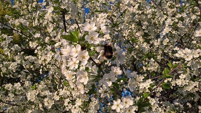 /pic/uploaded/WP_20160507_18_45_50_Pro.jpg