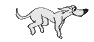 /pic/uploaded/a6f56639402af3b9bc5a4600c6026edd.gif