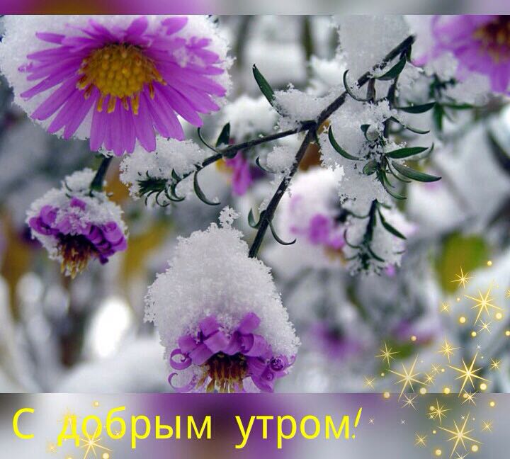 /pic/uploaded/aIMG-20180113-WA0000.jpg
