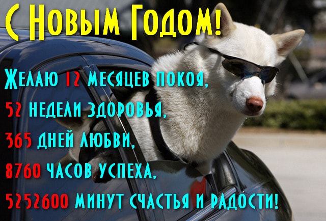/pic/uploaded/apozdravleniya-s-novym-godom-2018-sobaki-korotkie-dlya-sms.jpg