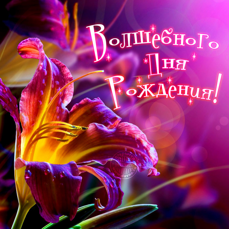 /pic/uploaded/birthday-601.jpg