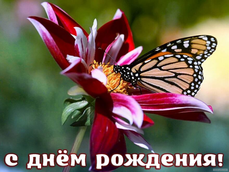 /pic/uploaded/ca993cadd1f886c3939b98b45b5233ab.jpg