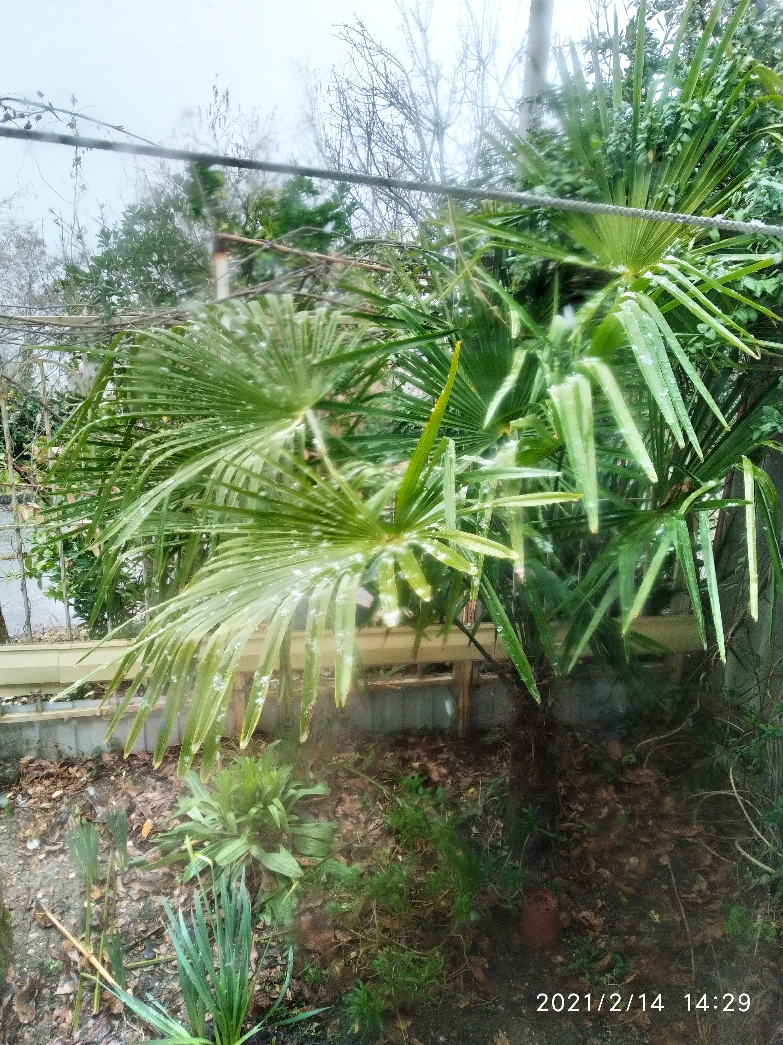 /pic/uploaded/dIMG_20210214_142927.jpg