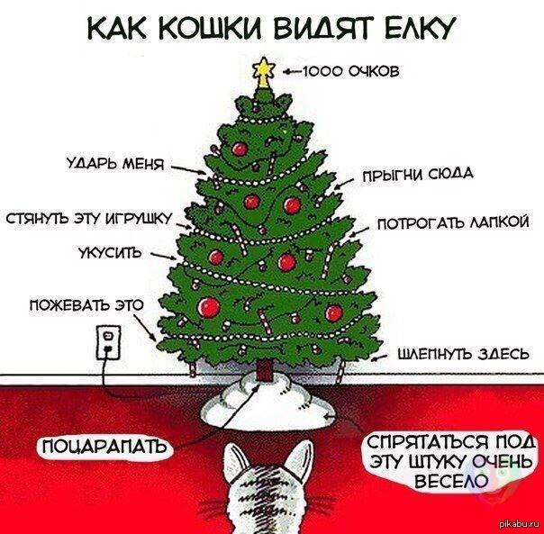 /pic/uploaded/dImsJdd38Bc-1.jpg