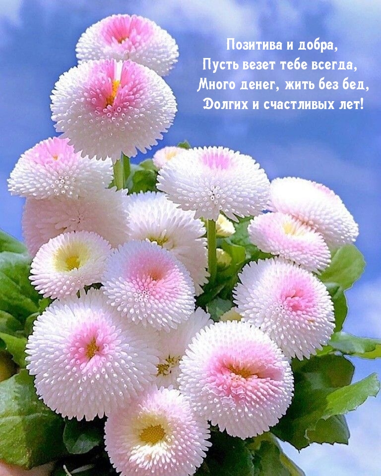 /pic/uploaded/dayname_ru_5656.jpg