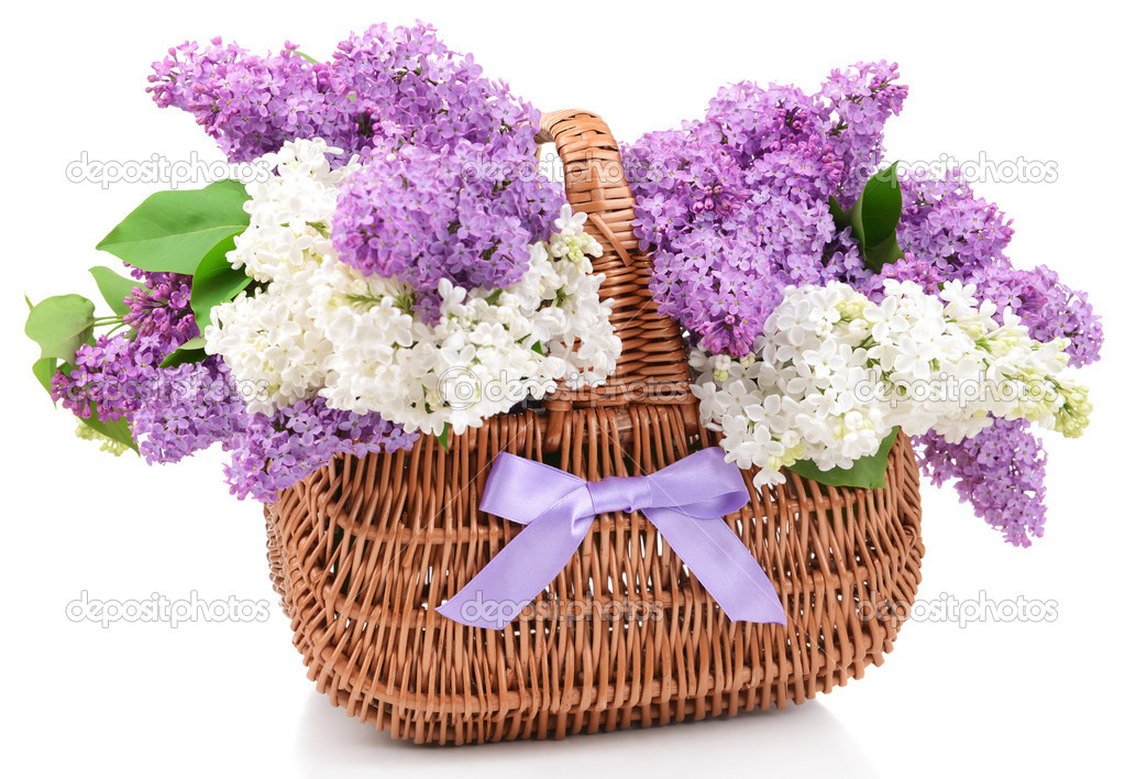 /pic/uploaded/depositphotos_46531549-Beautiful-lilac-flowers-in-wicker-basket-isolated-on-white-1.jpg