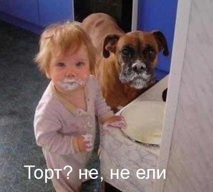 https://www.easy-beauty.ru/pic/uploaded/dite_c_psom.jpg