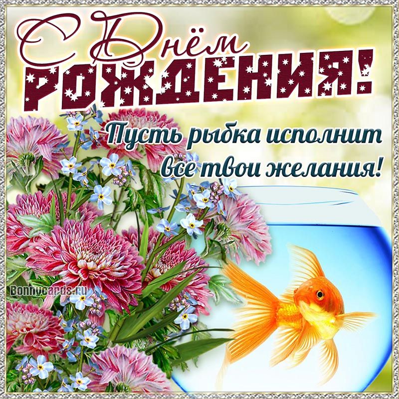 /pic/uploaded/drwoman0245_2.jpg