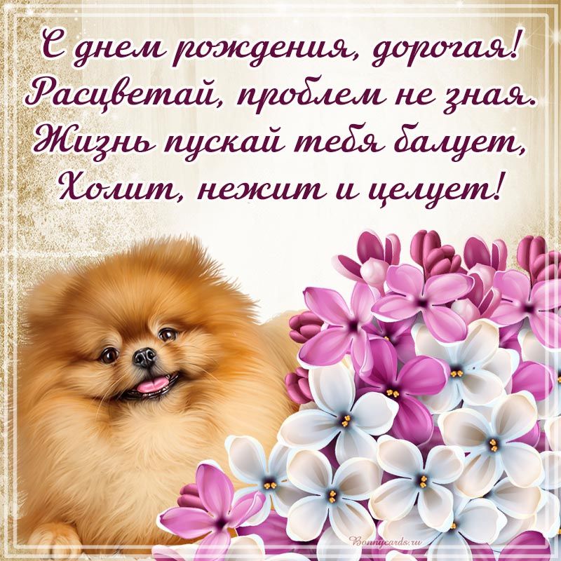 /pic/uploaded/drwoman0267.jpg