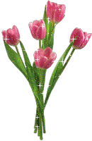 /pic/uploaded/e1cffaef0086caaf9af8f90c67d7fda9.gif